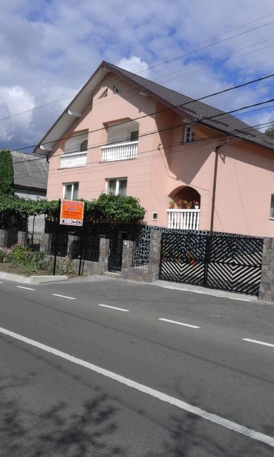 Casa Anca Sighetu Marmatiei Exterior photo