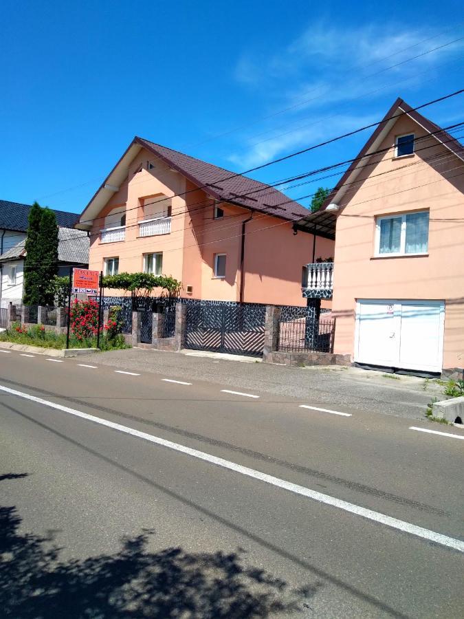Casa Anca Sighetu Marmatiei Exterior photo